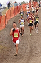 2010CIF XC BD1-1805